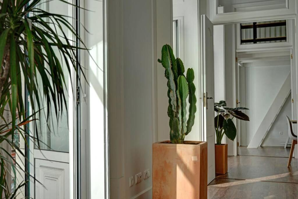 Unique Sao Bento Apartment Ideal For A Group Lisbon Exterior photo